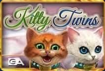 Review of the Kitty Twins Slot Game