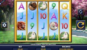 A Bark in the Park Slot Play for Real Money