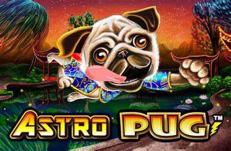 How To Play Crazy Pug Slot