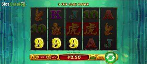 Tiger Cash Slot Review